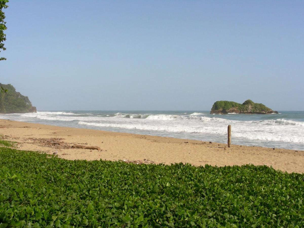 Hotel Casa Conley Del Mar Puerto Viejo de Talamanca Buitenkant foto